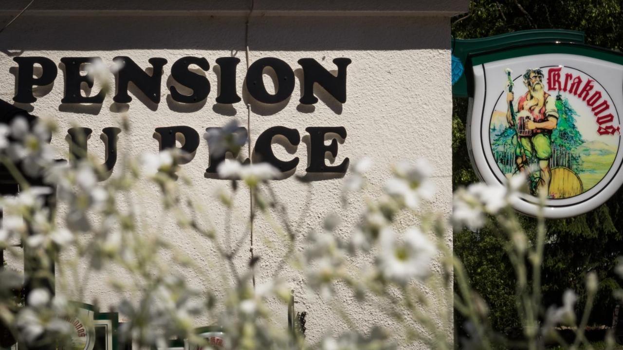 Pension U Pece Pec pod Sněžkou Zewnętrze zdjęcie